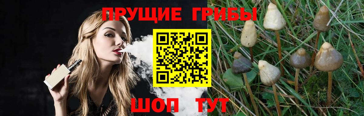 Псилоцибиновые грибы мухоморы  Вход с VPN  Малоярославец  Галлюциногенные грибы мухоморы 